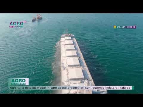 Cine câștigă din acordul privind exportul de cereale ucrainene