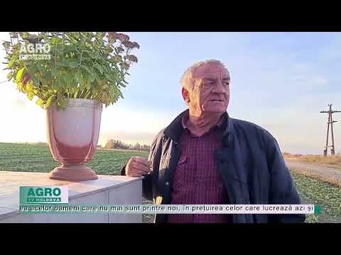 Un tractor din 1966 a ajuns monument, la Oclanda
