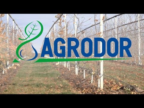 „Agrodor-Succes” – partenerul de încredere în agricultură
