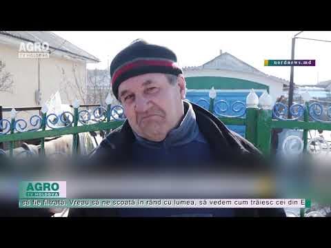 Apa noastră cea de toate zilele