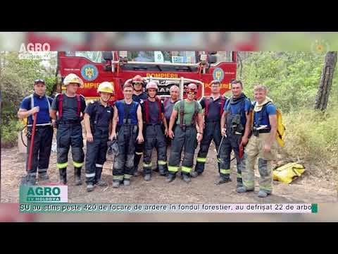 Pompierii moldoveni și-au încheiat activitatea cu brio în Grecia