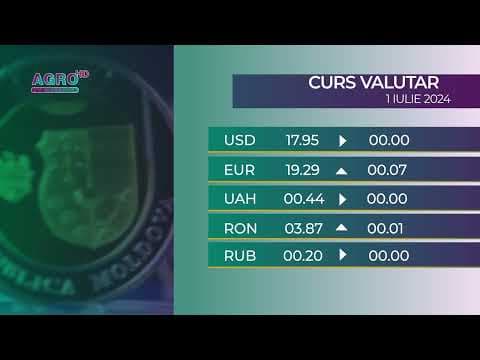 BNM: Curs valutar 2 iulie, 2024