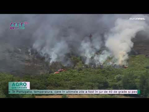VIDEO / Incendiile fac victime în Franța, Spania și Portugalia