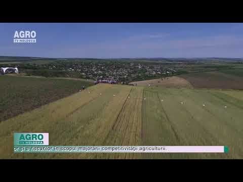 Agricultura, sub semnul dezastrului