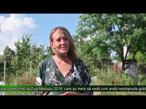 AGRO TV News - 12. 07. 2019