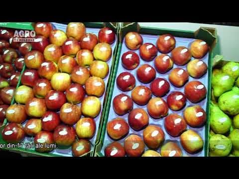 AGRO TV News - 09. 08. 2019