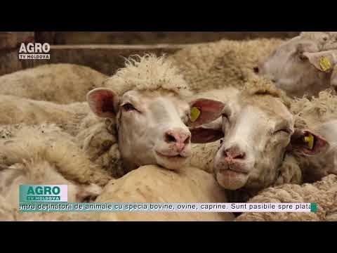 Fermierii își vor primi banii