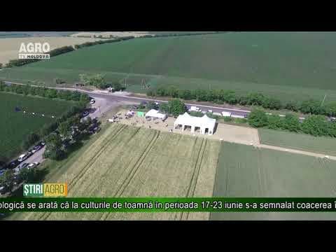 SHS: analiză agrometeorologică
