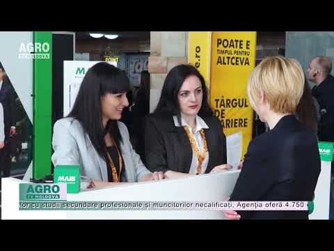 Piața muncii oferă mii de poziții vacante