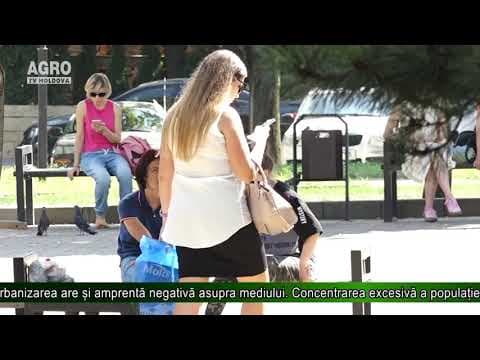Relația urbanism-mediu pericol pentru mediu și economia globală