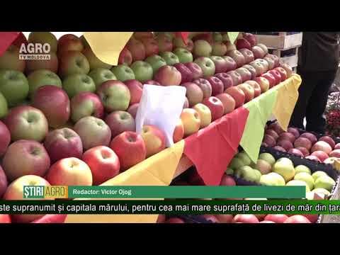 AGRO TV News - 04. 09. 2019