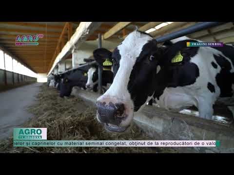 Un nou Centru pentru Ameliorarea și Reproducția Animalelor