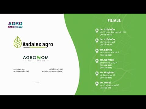 Magazinele AGRONOM: pasiune pentru agricultură, soluții pentru succes!
