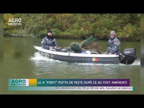 Le-a ”pierit” pofta de pește după ce au fost amendați