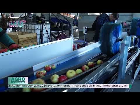Crește prețul la mere, înainte de sărbători