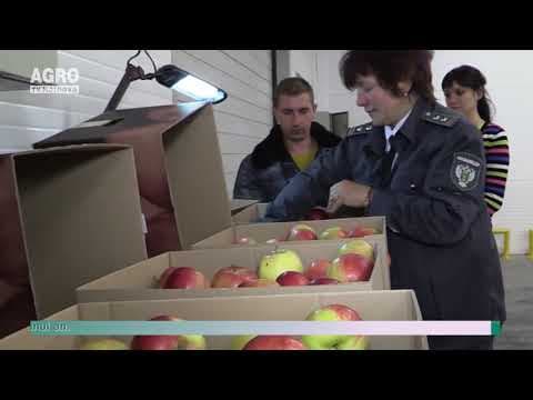 Important pentru exportatorii de fructe în Rusia