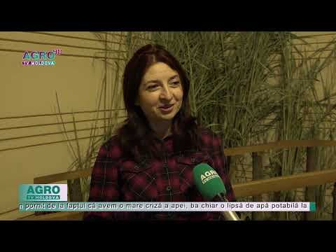 Simbolul apei, de la începuturi până în prezent