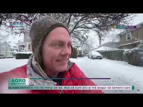 Furtuni de zăpadă în SUA