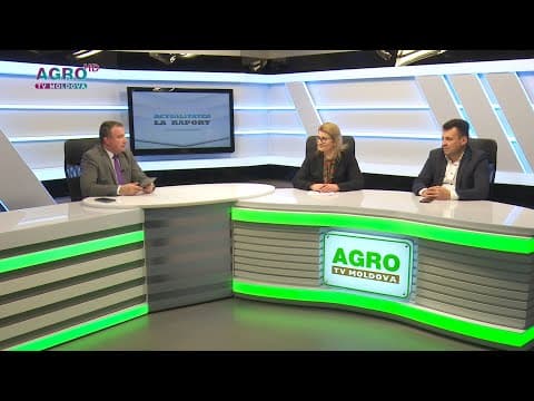 Învățământul profesional tehnic și cerințele pieței muncii
