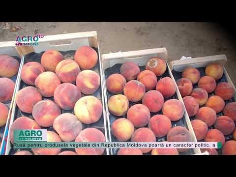 Ce vom face cu produsele noastre, după embargoul impus de ruși?