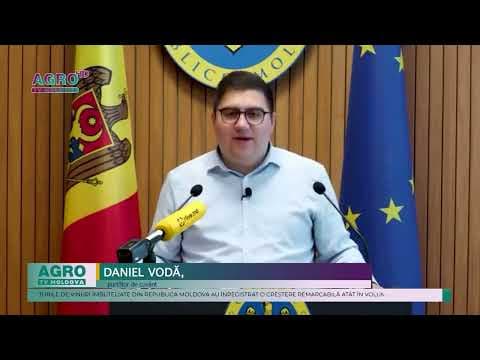 Vinurile moldovenești devin tot mai recunoscute pe arenele internaționale. Exportul a crescut cu 9 milioane de lei