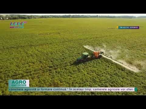 O Cameră Agricolă Națională și zece camere agricole regionale urmează a fi înființate, în Republica Moldova