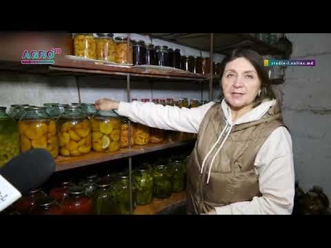 Intrarea în Postul Mare îi trimite pe moldoveni tot mai des în beci. Află ce găsesc acolo