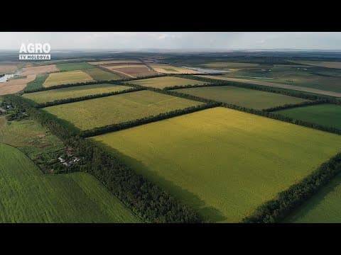 Baștina din 21.03.2021
