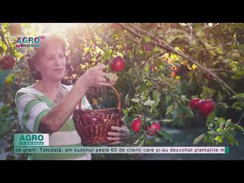 IFAD VII: 23 de milioane de dolari investiți în reziliența rurală
