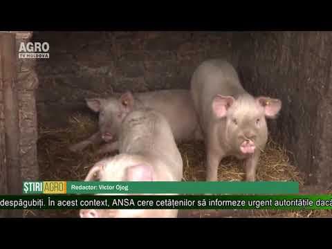 AGRO TV News - 06. 08. 2019