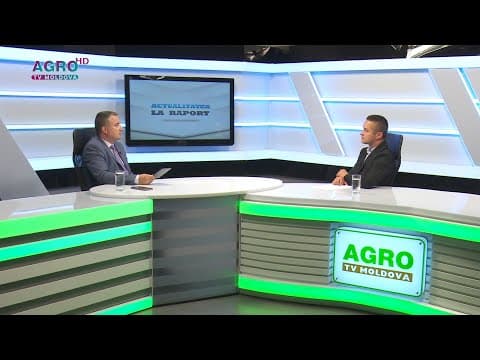 Fraudele online și cum ne putem proteja de escroci