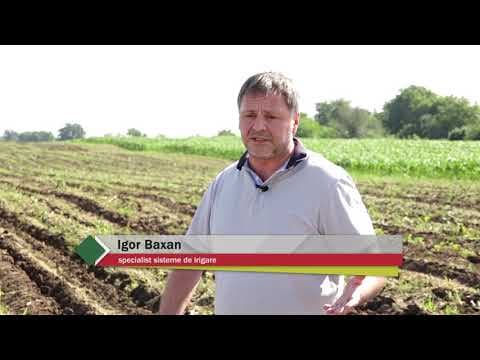 Baștina din 23.06.2019