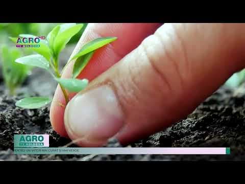 Green Award 2025: Oportunitatea de a schimba viitorul mediului