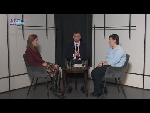 Rolul și implicarea femeilor în politică și societate