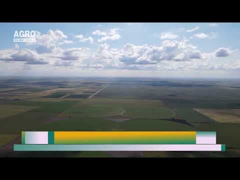 Și la sud ploile vor întârzia secerișul