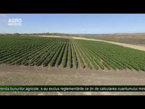 Reguli noi de ținere a registrului contractelor de arendă