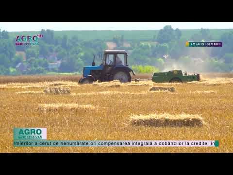 Creditele pentru fermierii din Moldova, tot mai scumpe