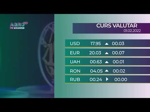 BNM: Cursul valutar pentru marți, 1 februarie