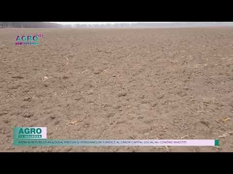 Străinii nu pot deține terenuri agricole pe teritoriul Republicii Moldova