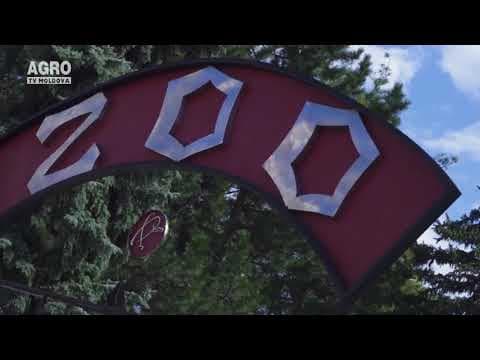 Grădina Zoologică din Chișinău s-a îmbogățit