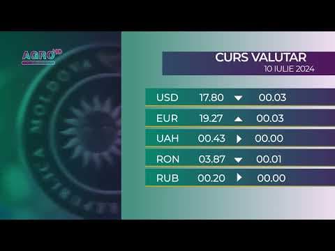 BNM: Curs valutar 10 iulie, 2024