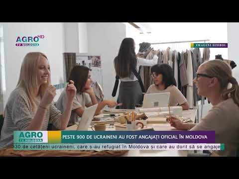Peste 900 de ucraineni au fost angajați oficial în Moldova