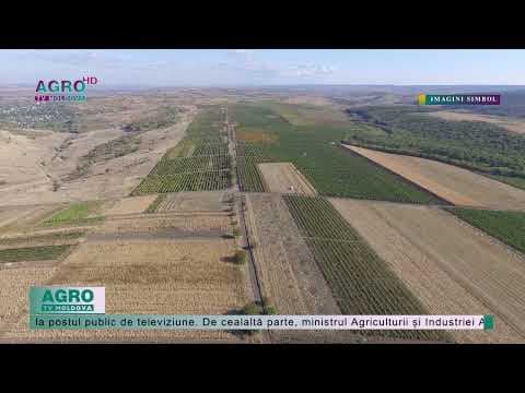 Fermierii își vor putea achita impozitele din suma TVA acumulată