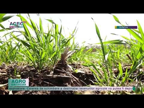 Parlamentul ar putea aproba noi modificări la Codul Funciar
