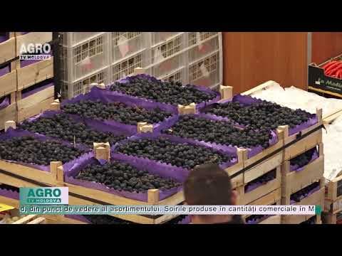 Producătorii nu pot vinde strugurii