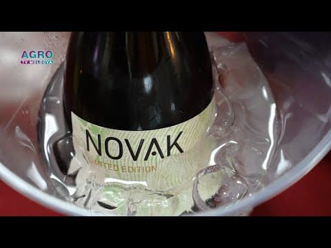 Vinăria Novak – vinuri reinventate, născute dintr-o adevărată pasiune