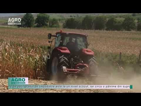 Cum asigurăm reziliența agriculturii la schimbările climatice
