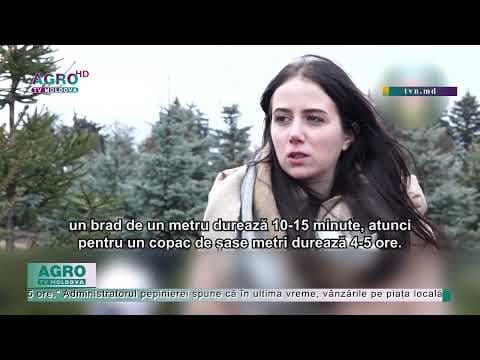Cu situația din țară, brazii noștri sunt exportați în România