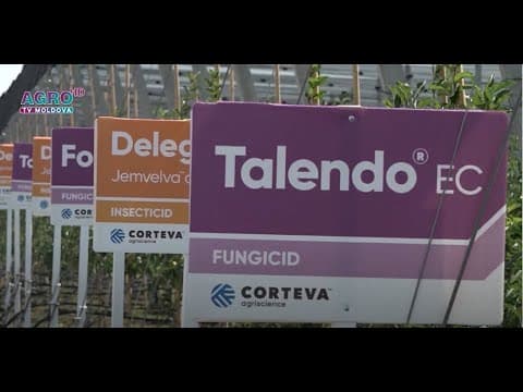 CORTEVA propune trei produse noi pentru protecția culturilor horticole