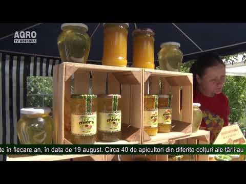 AGRO TV News - Retrospectiva Săptămânii 24 august 2019